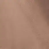 24133513 - TORTORA